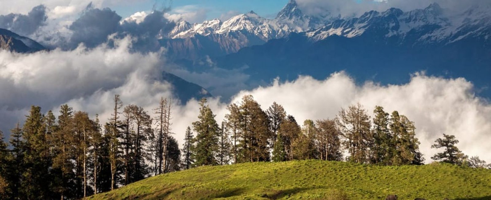 Dayara Bugyal Trek